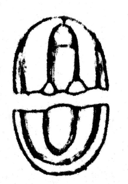 Agnostus pisiformis fossil trilobite (Alum Shale Formation, upper Middle Cambrian; Honsater, Vastergotland, Sweden) (15263805372), an archival visual related to How Did Life Begin.