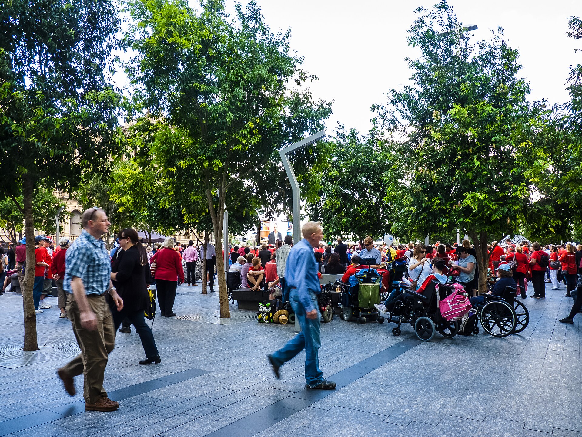 Disability-rights activists at an NDIS rally in Brisbane.