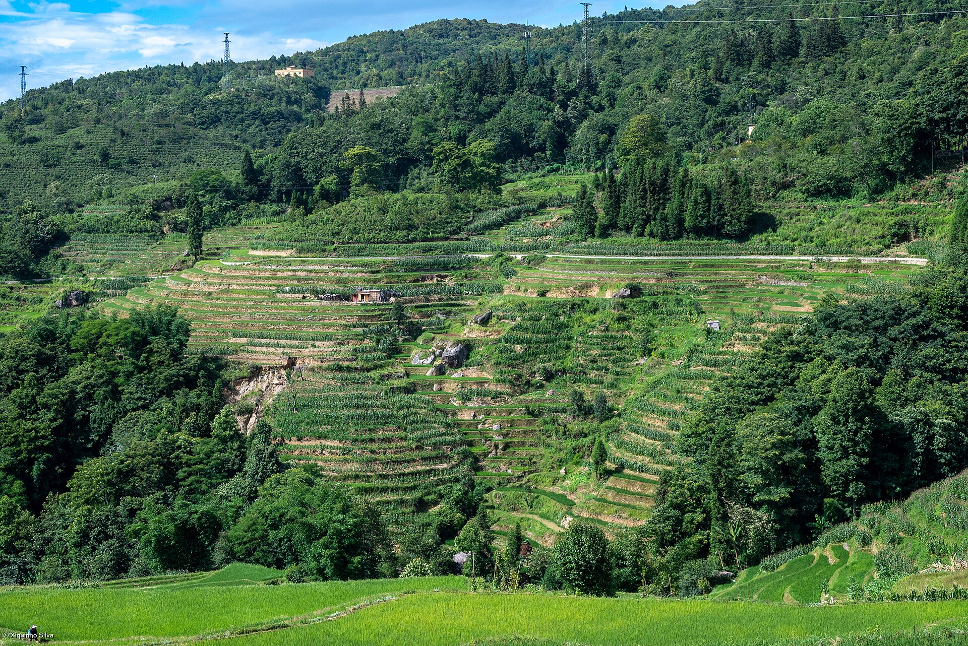 Documentary view of Honghe Hani rice terraces.