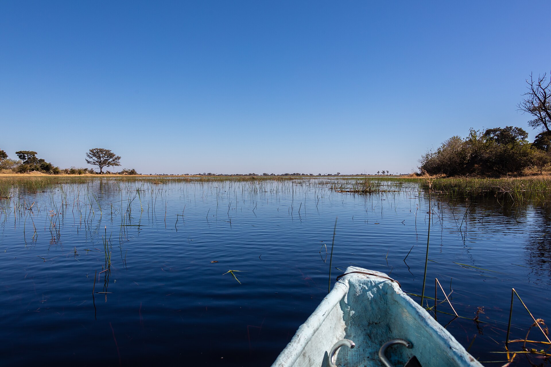 Documentary view of Okavango Delta.
