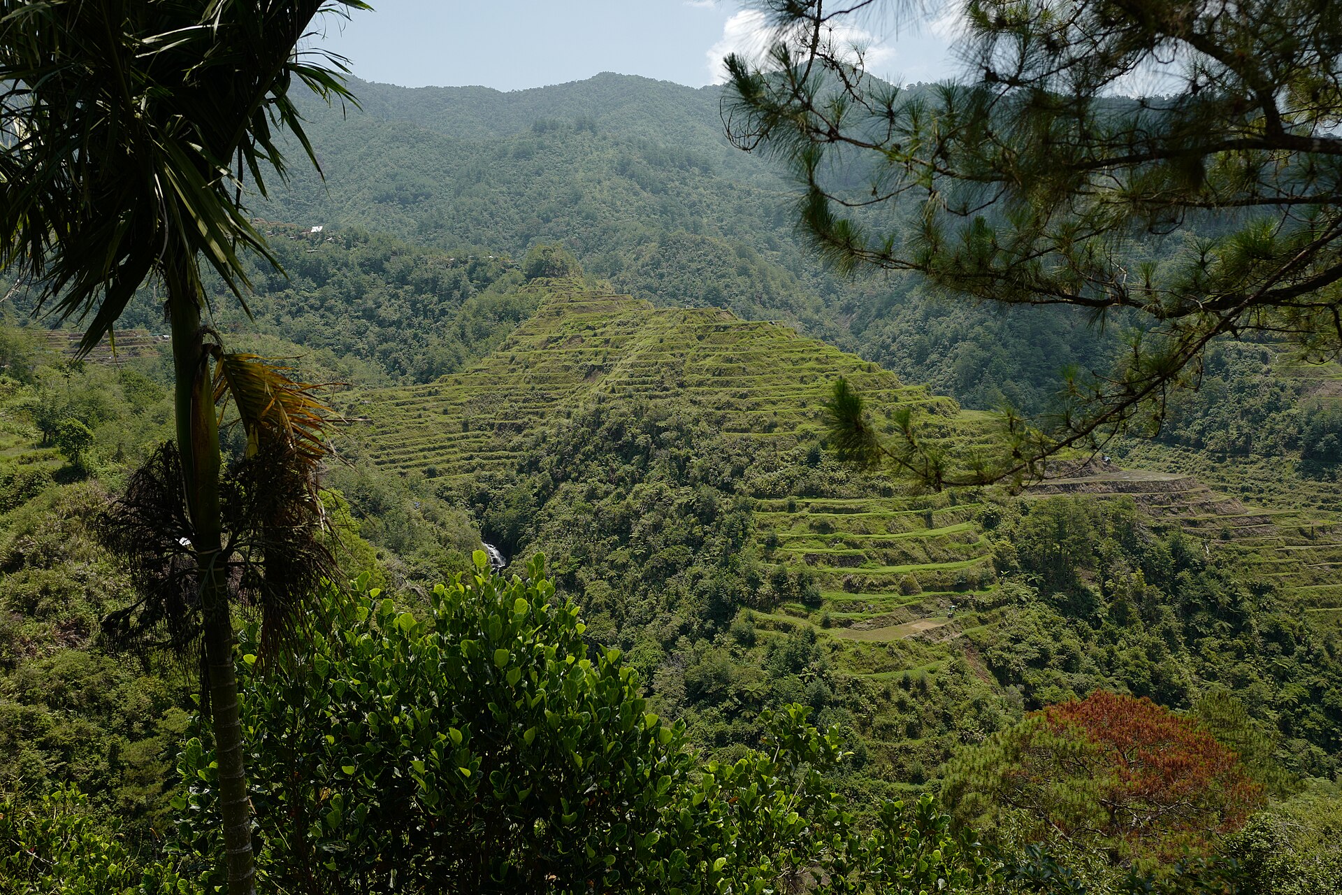 Documentary view of Banaue rice terraces.