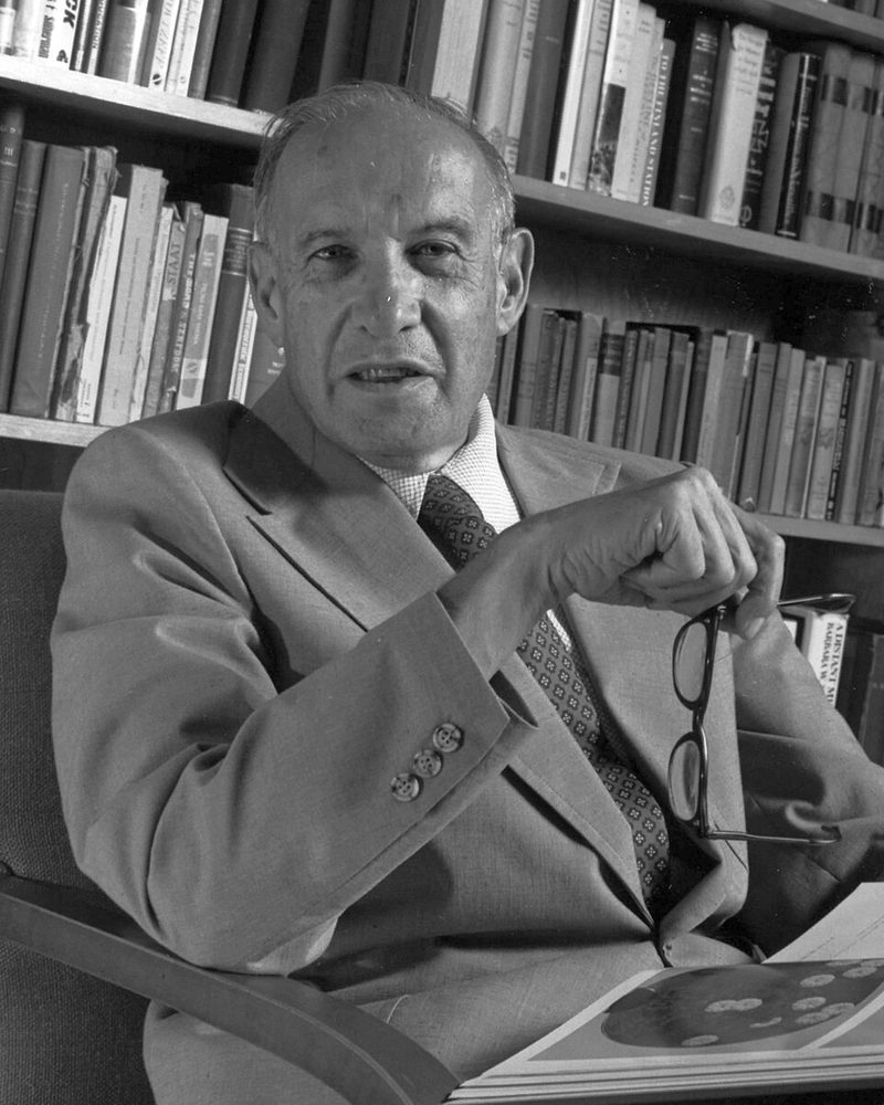 Portrait of Peter Drucker