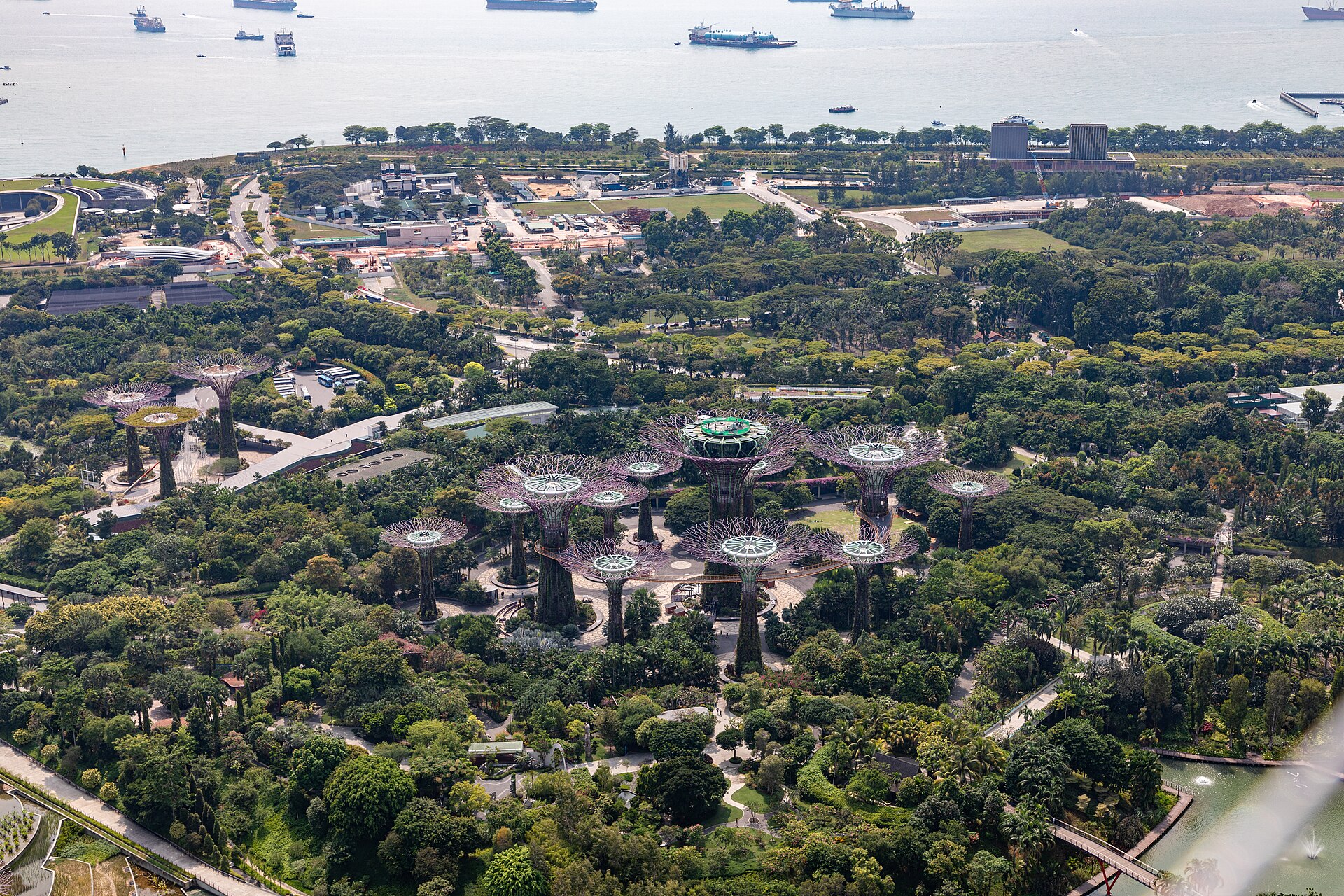 Documentary view of Singapore’s urban nature network.