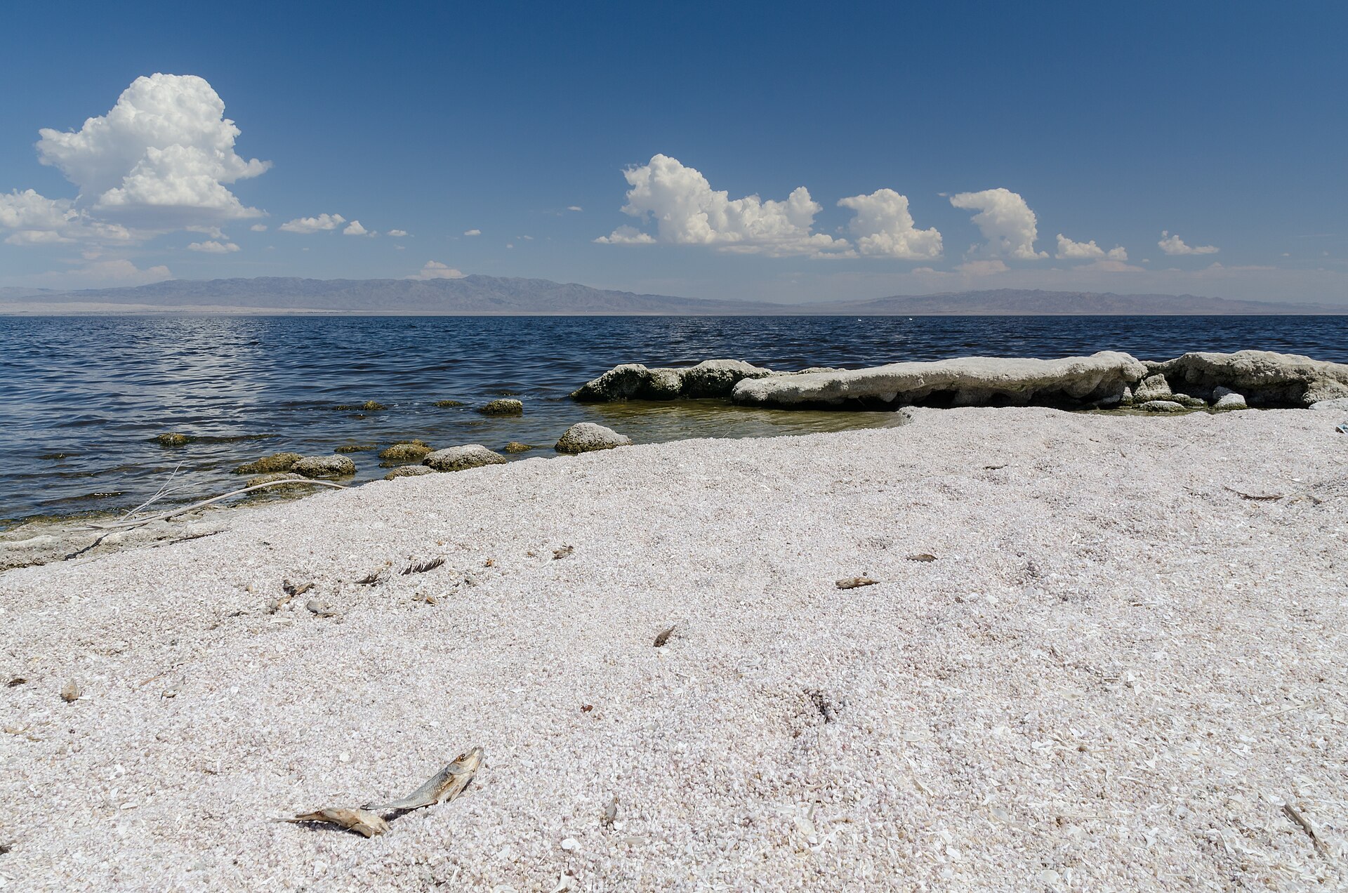 Documentary view of Salton Sea.