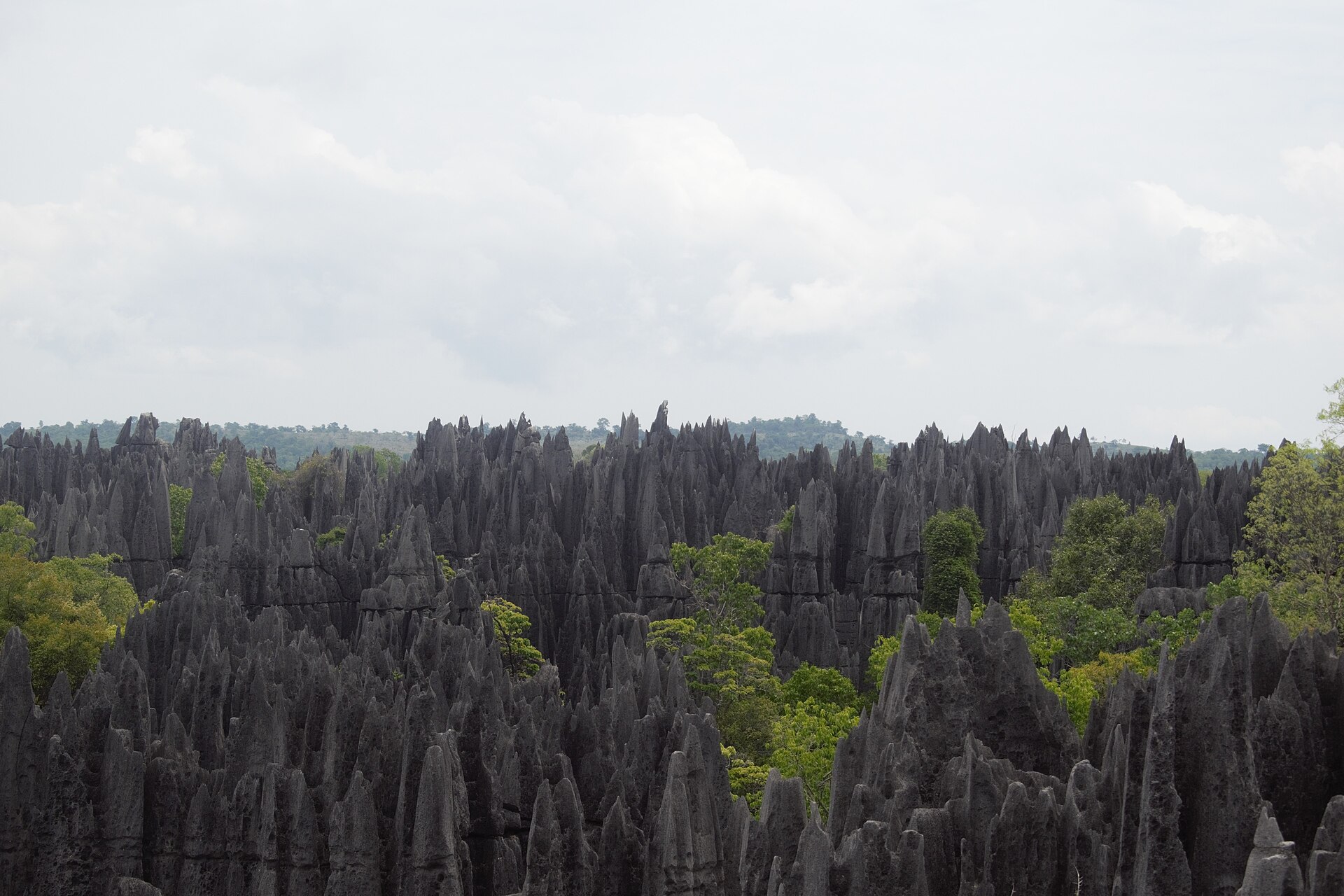 Documentary view of Tsingy de Bemaraha.
