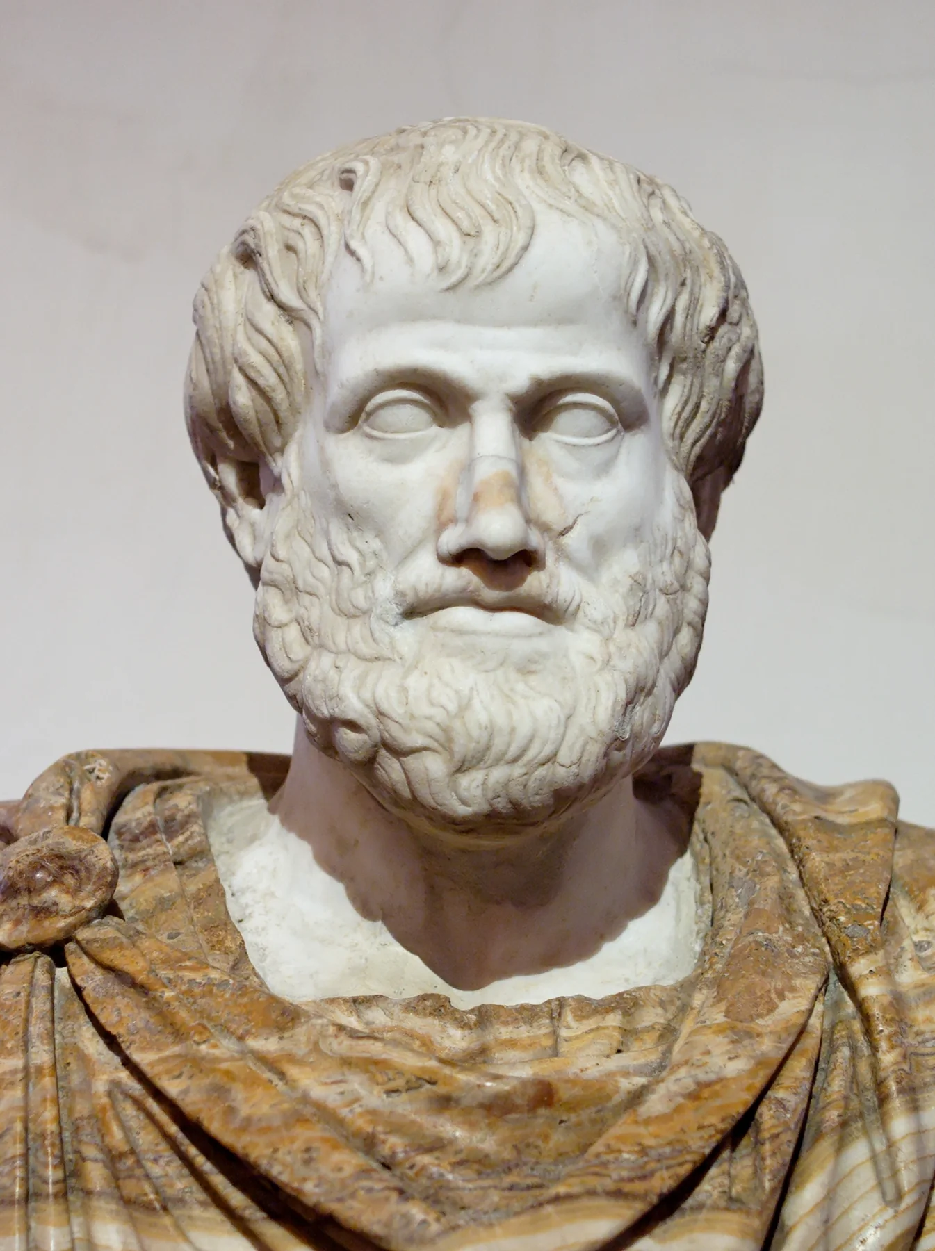 Aristotle Altemps Inv8575, an archival visual related to Aristotle: How Did One Man Influence So Many Fields.