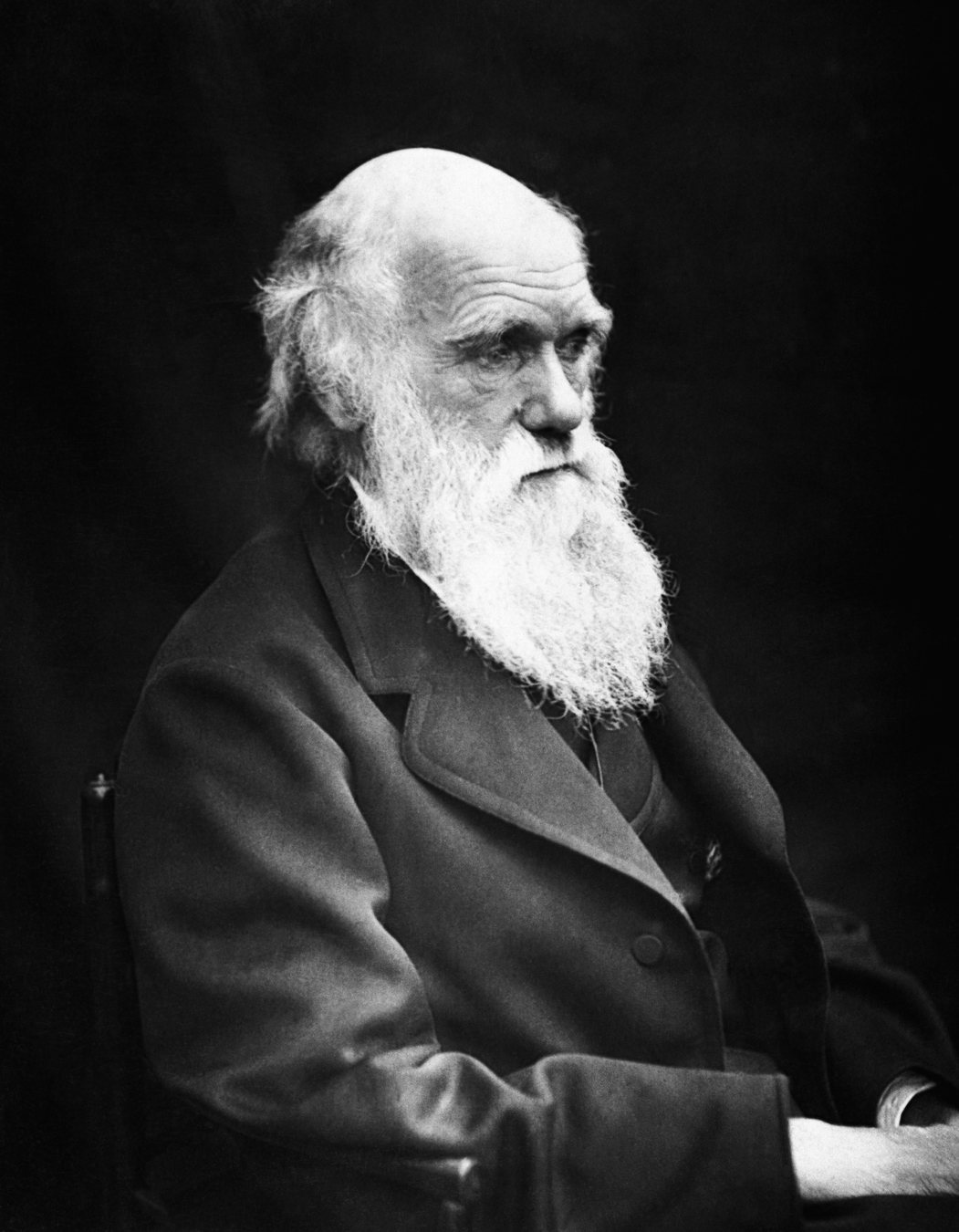 Charles Darwin photographed by Julia Margaret Cameron.