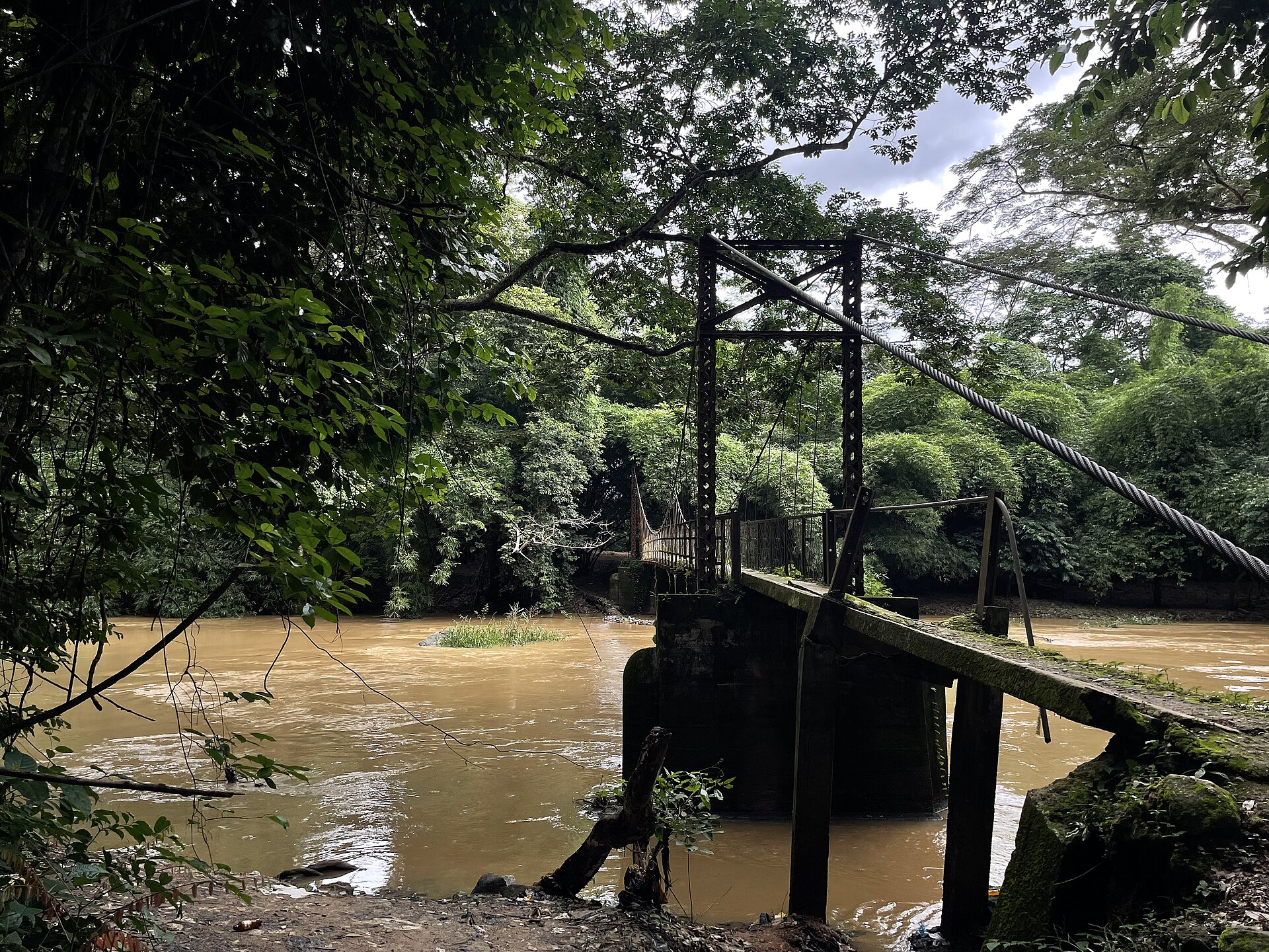 Documentary view of Osun-Osogbo Sacred Grove.