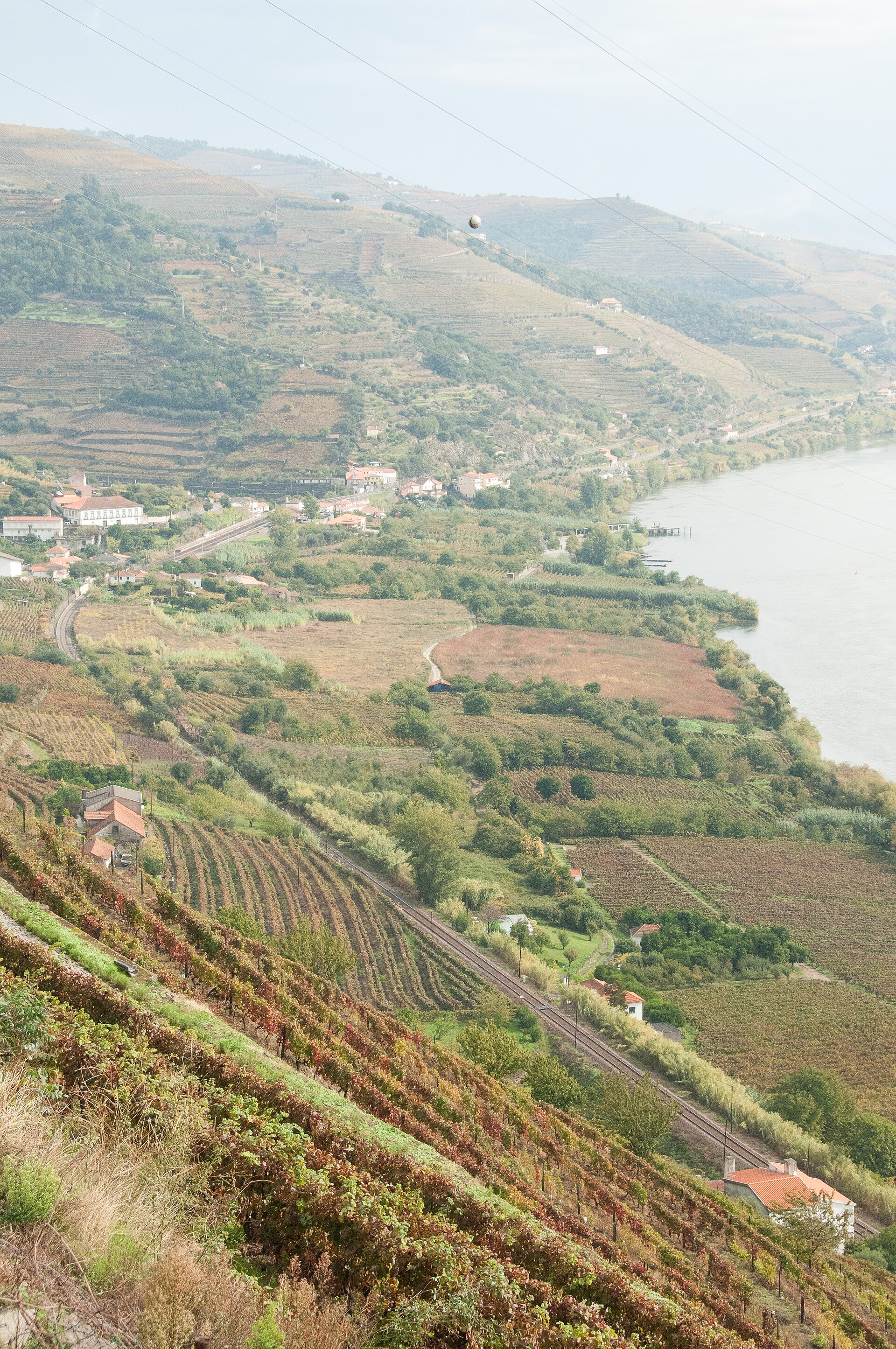 Documentary view of Douro Valley.