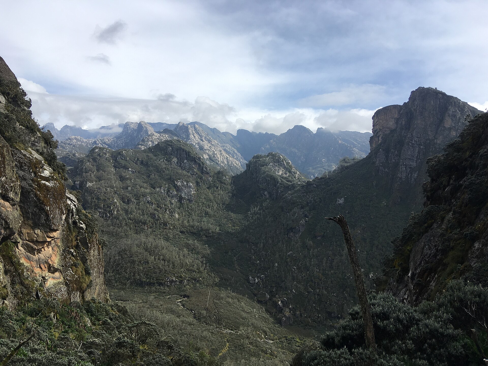Documentary view of Rwenzori Mountains.