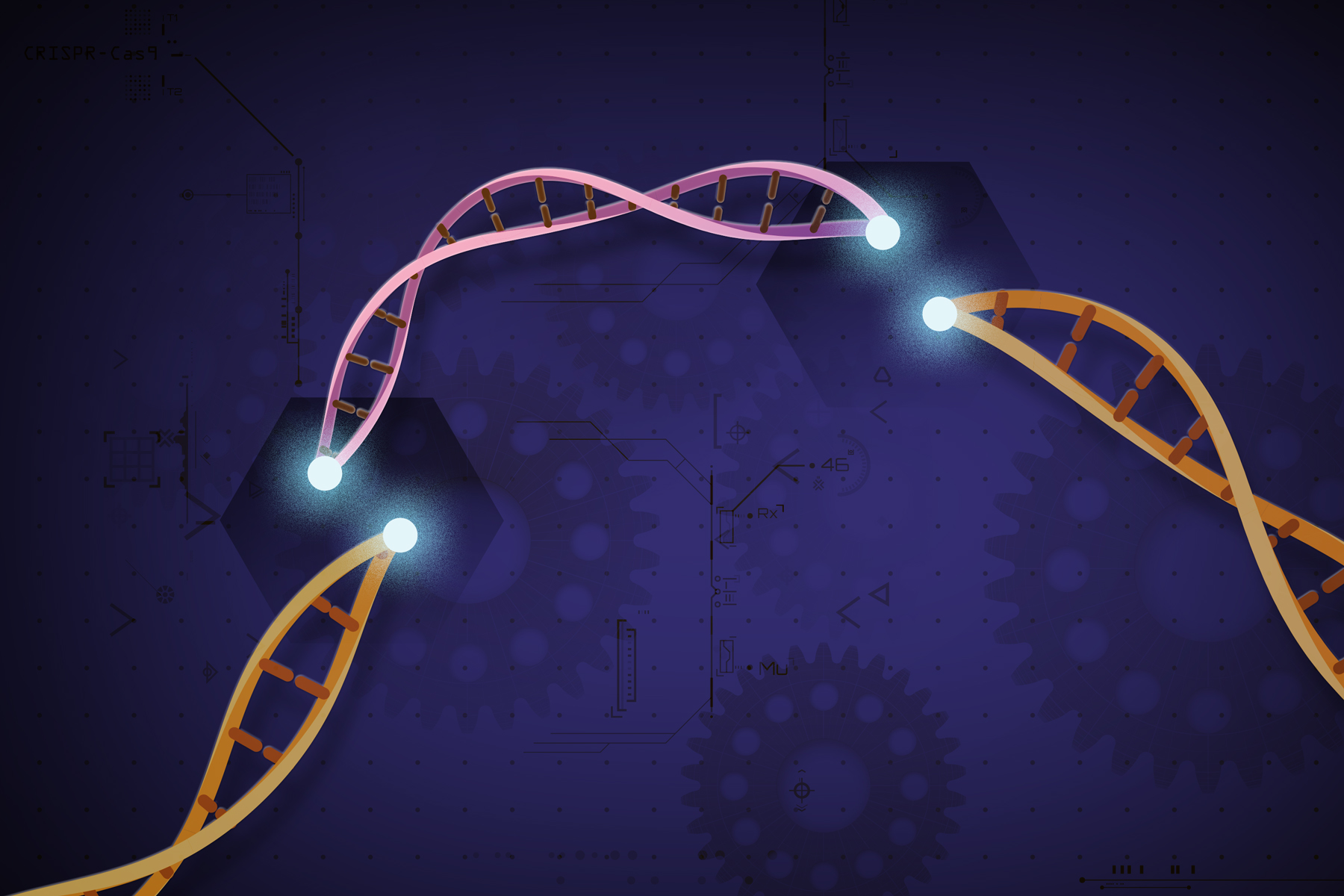 Documentary view of CRISPR genome-editing systems.