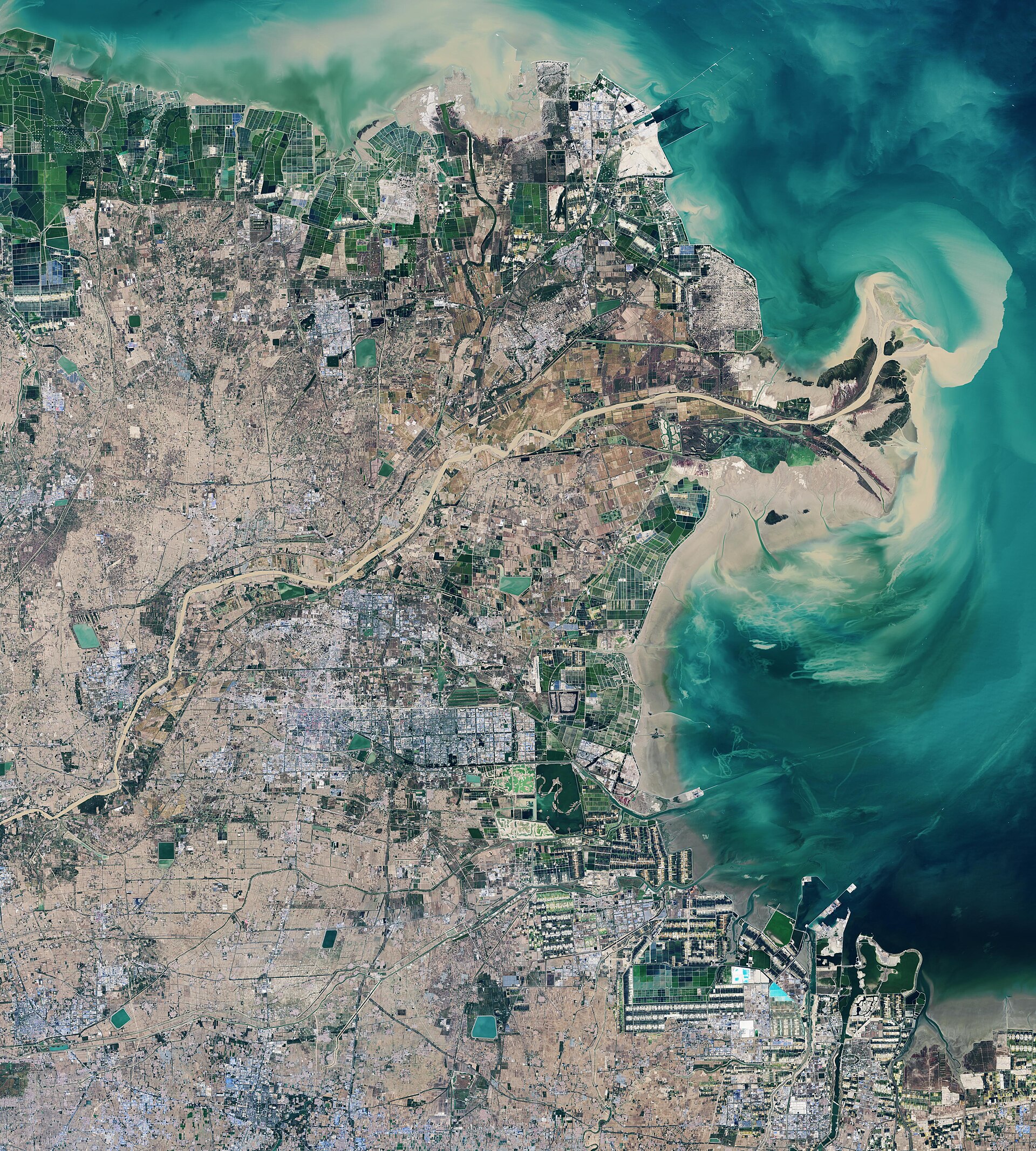 Documentary view of Yellow River Delta.