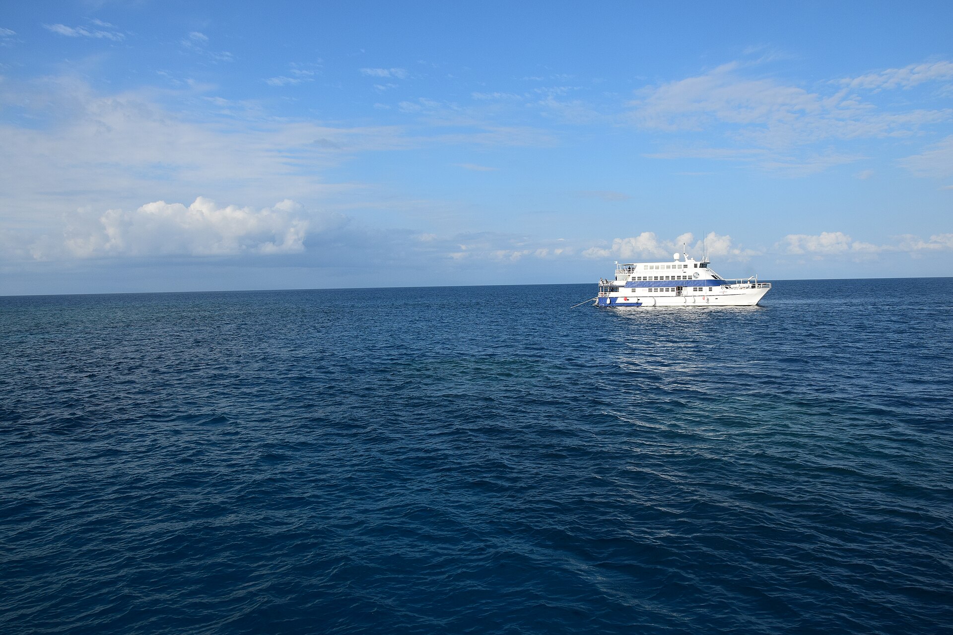 Documentary view of Great Barrier Reef.