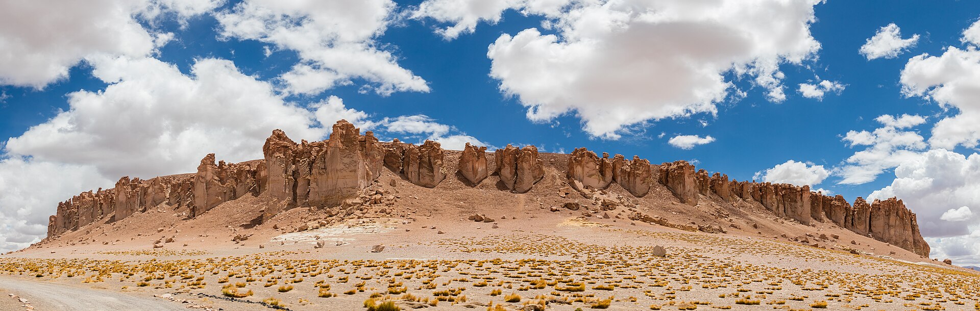 Documentary view of Atacama Desert.