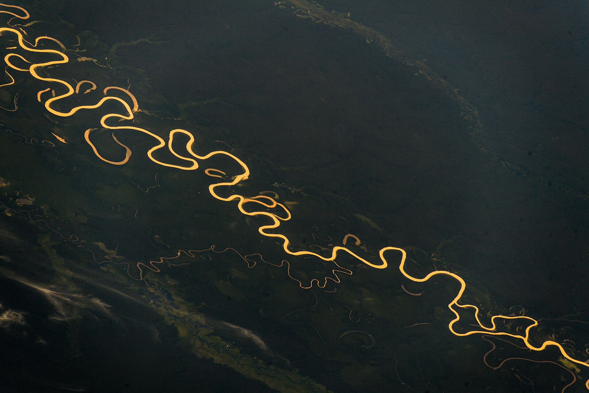 Documentary view of Amazon rainforest.