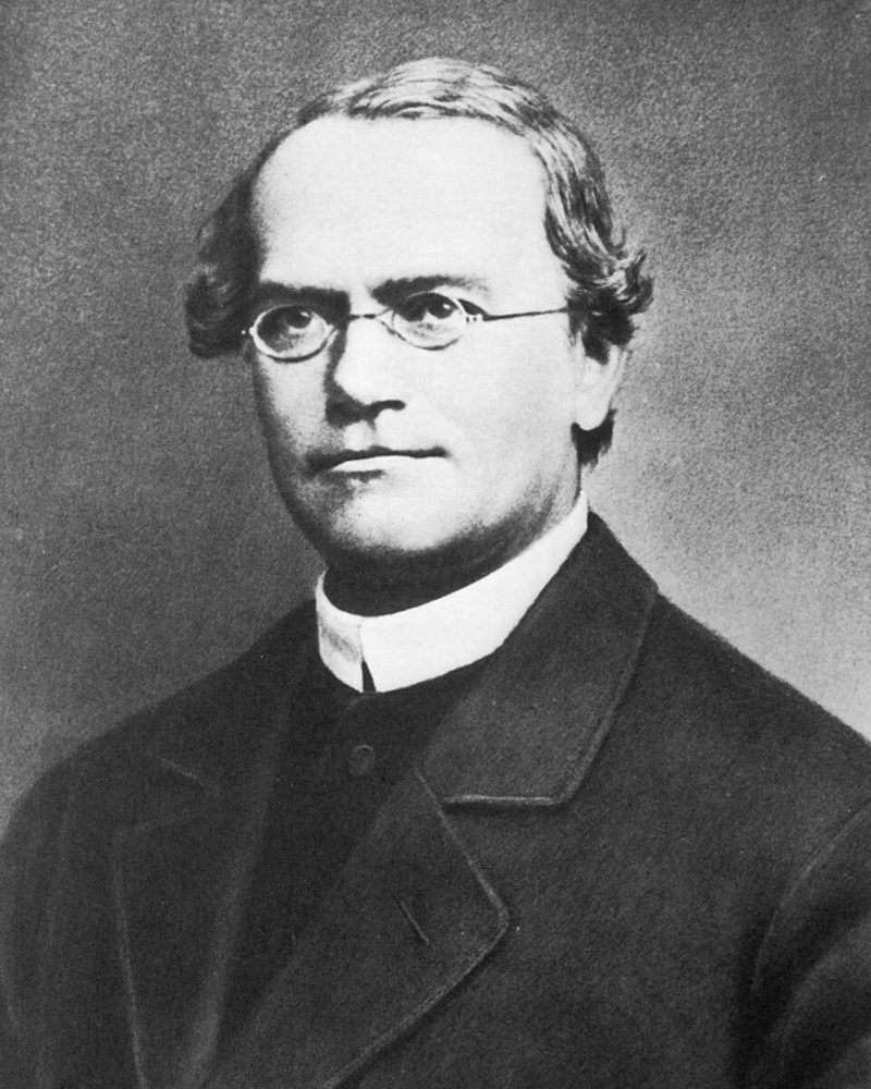 Portrait of Gregor Mendel