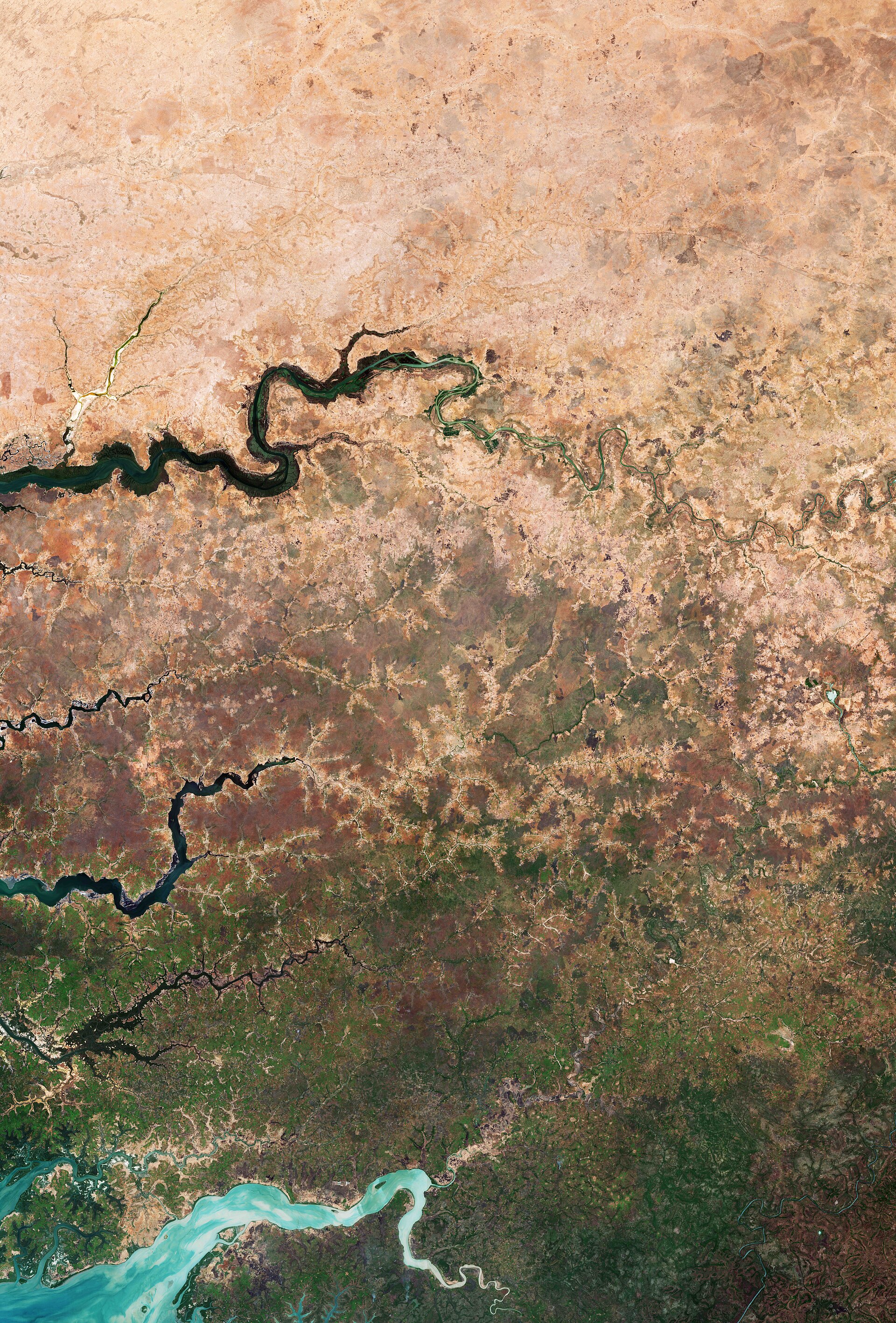 Documentary view of Sahel restoration landscapes.
