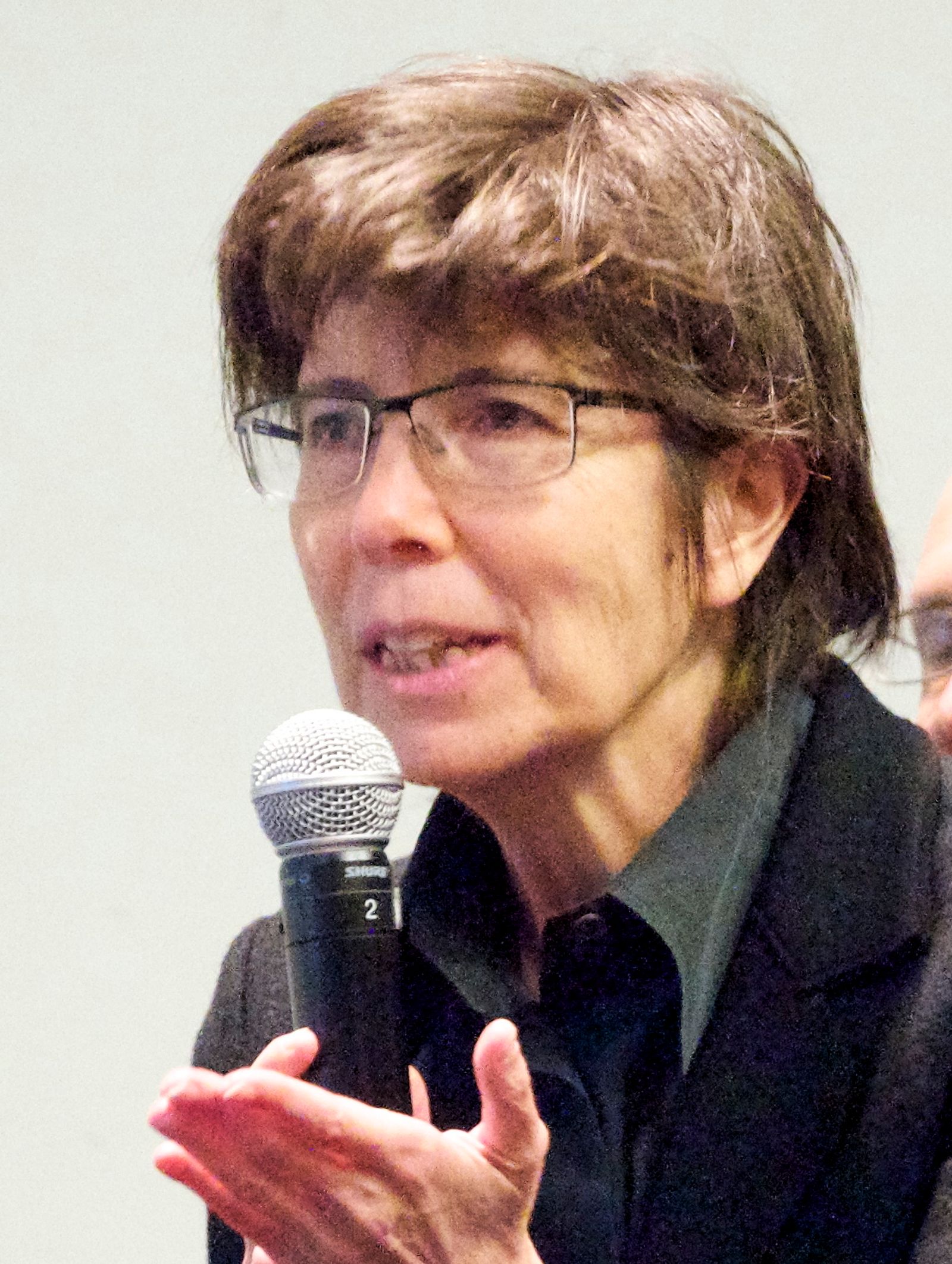 Elizabeth Diller, "Diller Scofidio + Renfro: Architecture After Images" Book Launch and Discussion