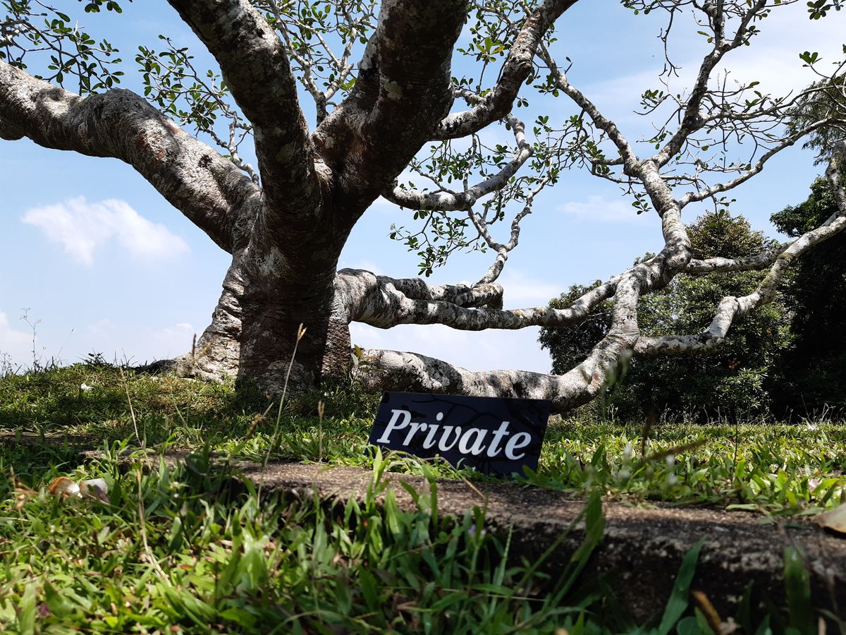 Lunuganga Garden in Bentota, Geoffrey Bawa’s lifelong landscape and architectural project.